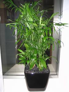   &raquo; Click to zoom ->