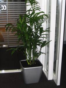   &raquo; Click to zoom ->