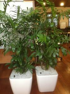   &raquo; Click to zoom ->