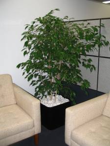   &raquo; Click to zoom ->