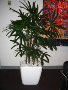   &raquo; Click to zoom ->