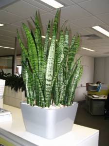   &raquo; Click to zoom ->