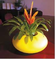   &raquo; Click to zoom ->