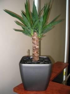   &raquo; Click to zoom ->