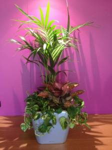   &raquo; Click to zoom ->