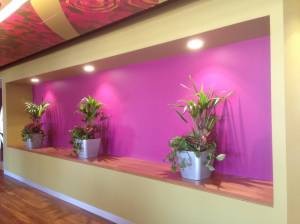   &raquo; Click to zoom ->