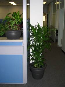   &raquo; Click to zoom ->