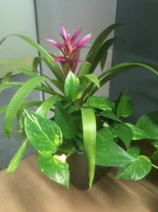   &raquo; Click to zoom ->