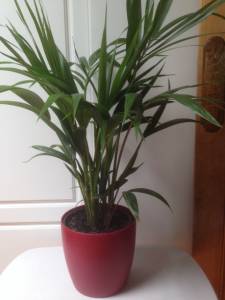   &raquo; Click to zoom ->