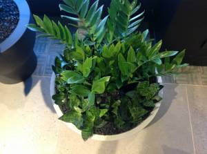   &raquo; Click to zoom ->