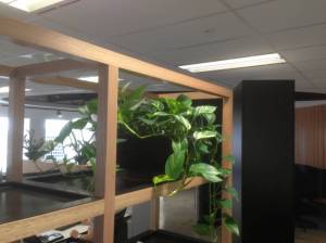   &raquo; Click to zoom ->