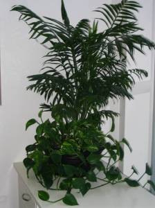   &raquo; Click to zoom ->