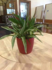   &raquo; Click to zoom ->