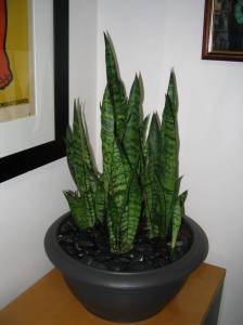   &raquo; Click to zoom ->