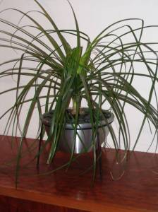   &raquo; Click to zoom ->