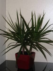   &raquo; Click to zoom ->