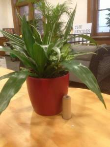   &raquo; Click to zoom ->