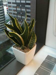   &raquo; Click to zoom ->