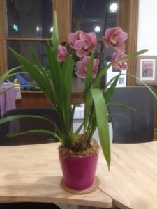   &raquo; Click to zoom ->