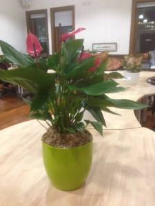   &raquo; Click to zoom ->