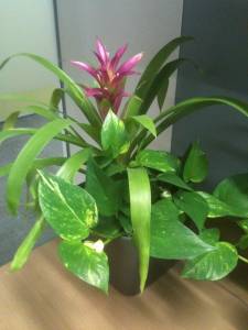   &raquo; Click to zoom ->