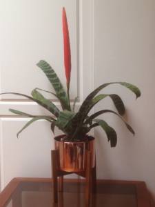   &raquo; Click to zoom ->