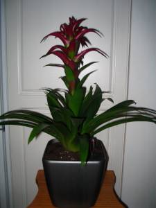   &raquo; Click to zoom ->