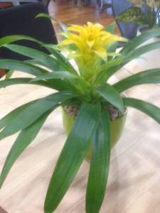   &raquo; Click to zoom ->