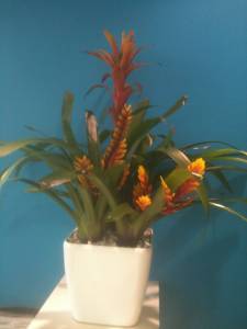   &raquo; Click to zoom ->