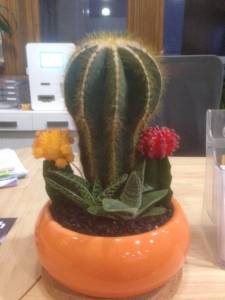   &raquo; Click to zoom ->