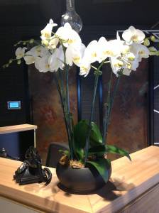   &raquo; Click to zoom ->