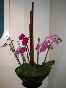   &raquo; Click to zoom ->