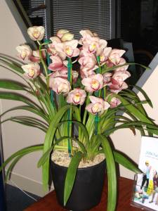   &raquo; Click to zoom ->