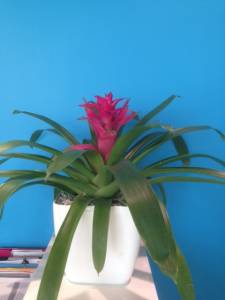   &raquo; Click to zoom ->