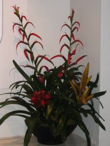   &raquo; Click to zoom ->