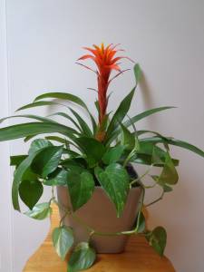   &raquo; Click to zoom ->