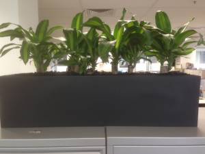   &raquo; Click to zoom ->