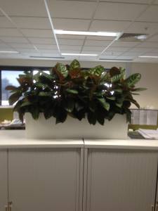   &raquo; Click to zoom ->