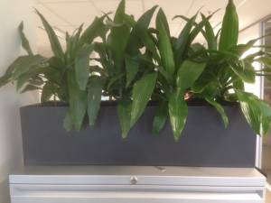   &raquo; Click to zoom ->