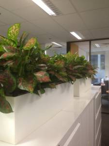   &raquo; Click to zoom ->