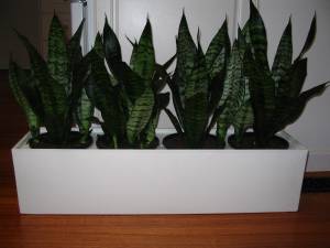   &raquo; Click to zoom ->