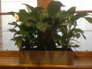   &raquo; Click to zoom ->