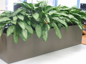   &raquo; Click to zoom ->