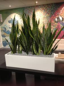   &raquo; Click to zoom ->