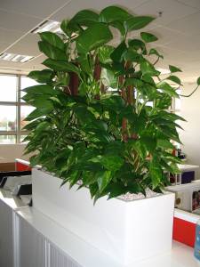   &raquo; Click to zoom ->