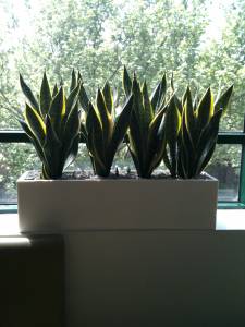   &raquo; Click to zoom ->