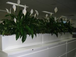   &raquo; Click to zoom ->