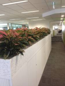   &raquo; Click to zoom ->