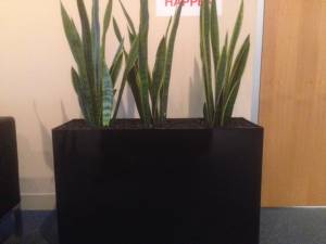   &raquo; Click to zoom ->