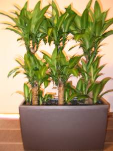   &raquo; Click to zoom ->